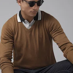 roadster Men Solid V Neck Brown Sweater image 2