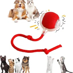 velaavo Interactive Rolling Dog Toy – 360° Electric Smart Silicone Ball, Soft Toy For Dog & Cat image 1