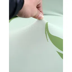 HOUSE OF QUIRK Pista Green Printed Stretchable Chair Covers image 3