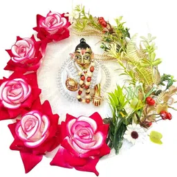 shree enterprise Laddu Gopal, Krishna Ji, Thakur ji, Kanha Ji, Bal Gopal Poshak for size 8, White Rose Dress image 2