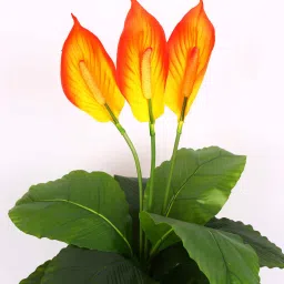 arick decor Artificial Spathiphyllum Plant with Pot image 5