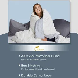 RAZZAI Blue & Grey Microfiber Reversible Mild Winter 300 GSM Double Bed Comforter image 4