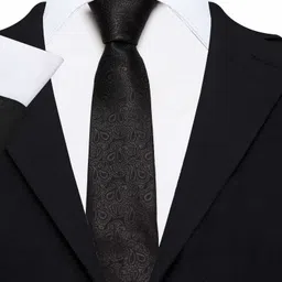 AXLON Satin Tie Pin Set image 2