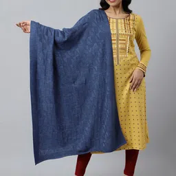 AURELIA Women Blue Self Design Shawl-picture-11