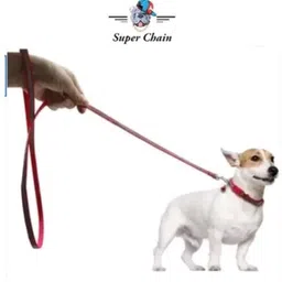 super Reflective Dog Leash Collar for Dog Set with Bell Pack of 5 Dog & Cat Collar & Leash image 5