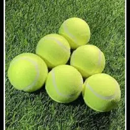 New-Tennis ball _357Pack of 6 Tennis Ball-image-56