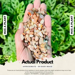 hug a plant MIXED GRAVEL-5KG Carved Asymmetrical Rock Pebbles image 2