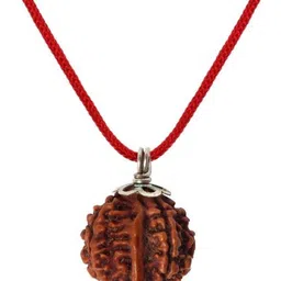 aurra stores 100 % Original & Natural Ganesha Faced / 5 Mukhi Ganesha Rudraksha With JGL Lab Certified Wood-picture-22