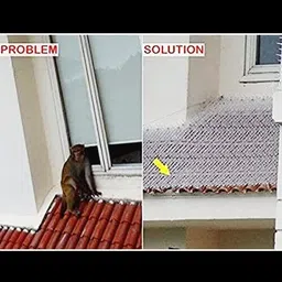 i geon Bird Spike image 3