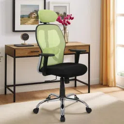 mintwud from pepperfry Akira High Back Breathable Mesh Ergonomic Chair with Adjustable Lumbar Support in Green Color-picture-14