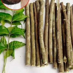aarambhstore Natural Neem Datun / Neem Toothbrush Twigs Hard Toothbrush image 2