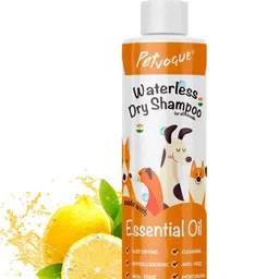petvogue Hypoallergenic, Anti-itching, Anti-microbial, Anti-parasitic Lime Dog Shampoo image 1