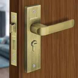 plantex Brass, Zinc Alloy Glossy Handlesets image 2