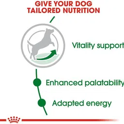 royal canin Mini Adult 8+ Dry Dog Food 2 Kg 2 kg Dry Adult Dog Food image 2