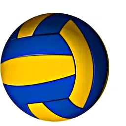 singhalss SP01 Volleyball - Size: 5-picture-16