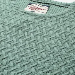 roadster Men Self Design Round Neck Green Sweater image 3