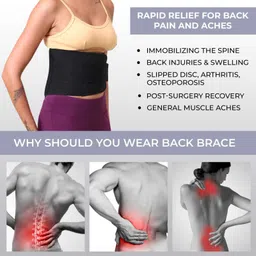 prourban LS BLACK Back / Lumbar Support image 5