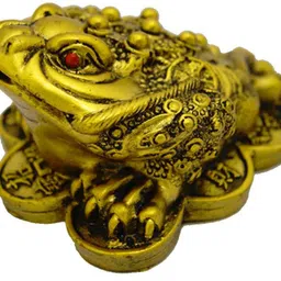 fobhiya Metalic Ceramic Feng Shui Triple Legged Frog with Coin in Mouth Decorative Showpiece for Good Luck, Home, Wisdom, Success, Wealth, Marriage, Prosperity, Happiness (Golden Colour) Decorative Showpiece - 6.5 cm image 2