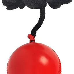 ce rhino Practice Synthetic Ball Cricket Training Ball image 1