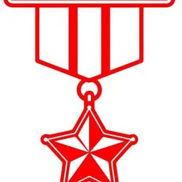 xskin Sticker & Decal for Car & Bike-picture-11