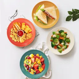 yanci 23 cm Large Plastic Plates, Unbreakable and Reusable Light Weight Dinner Plates Dinner Plate image 5