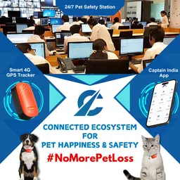 zimaxx Captain India Smart 4G Pet GPS Tracker Location Smart Tracker image 2