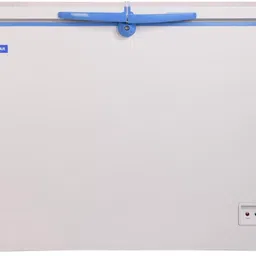 blue star 300 L Double Door Standard Deep Freezer-picture-11