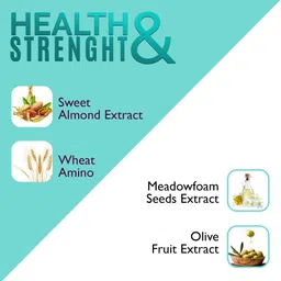 keratine professional Keratin Hair Shampoo Infused with Keratin, Almond Oil, Jojoba Oil and Shea Butter for Curly Wavy and Straight Hair - Sulfate Free Shampoo for Dry Damaged or Color Treated Hair – Made in India image 2