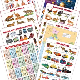 spectrum Kid's 1st Learning Charts [S] : Set 29 (Human Anatomy, Solar System, Multiplication Tables, Map of India, Wild Animals, Domestic Animals, Transport & Communications)-picture-15