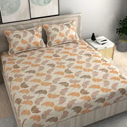 FINE TEX WORLD Brown Floral 210 TC King Fitted 160GSM Bedsheet With 2 Pillow Covers-image-80