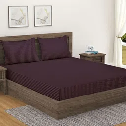 Home Sizzler Brown Striped Cotton 300 TC Queen Bedsheet with 2 Pillow Covers-image-78