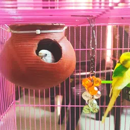 zenrise Budgies Love Birds Terracotta Earthenware Pot Bird House image 4