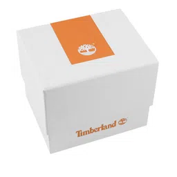 Timberland Men Beige Dial & Brown Leather Strap Analogue Watch TDWGA2152004 image 4