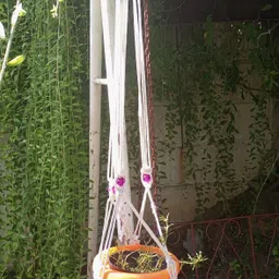 orange industries Cloth dryer rope Polyester 3 ply twist clothlines 100 ft White image 4