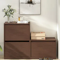 mintwud from pepperfry Kamiya Tilt Out Shoe Rack in Columbia Walnut Finish-picture-19