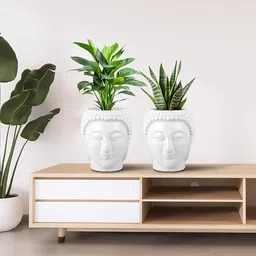 grow green Buddha White Flower Pot – Stylish Indoor & Outdoor Planters Plant Container Set image 5