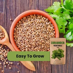 vedhahi Coriander Seed-picture-19