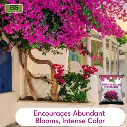 elamgreen Bougainvillea Fertilizer | Growth & Flower Booster for Vibrant Blooms Fertilizer image 1