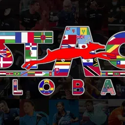 stag global 4 Star Racket Multicolor Table Tennis Racquet image 5