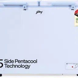 300 L Double Door Standard Deep Freezer-image-0