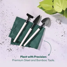 ugaoo Mini Garden Bonsai Set image 1