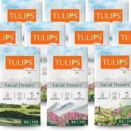 tulips Premium Creme Soft, Extra Thick 3 Ply Pocket Tissue Paper 10 Pulls/ 120 Sheets-picture-16