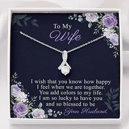 Wife You Add Colors Life Gift Wife Necklace Zircon Silver Pendant Set-image-29