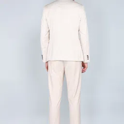 arrow Men Self Design Self Design Suit image 4