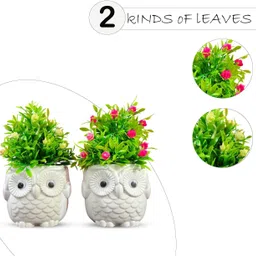 asharya Indoor faux flower plant with cute owl shape pot for home décor, tabletop small Bonsai Wild Artificial Plant with Pot image 4