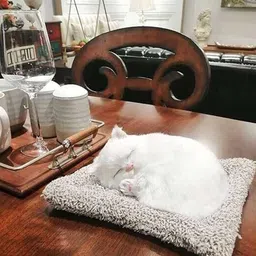 aperol design Sleeping Cute Cat Toy for Car & Home with Activated Carbon & Meow Sound Decorative Showpiece - 5 cm image 3