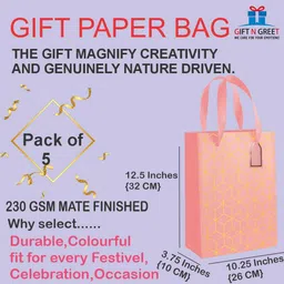 gift n greet Printed Party Bag image 2