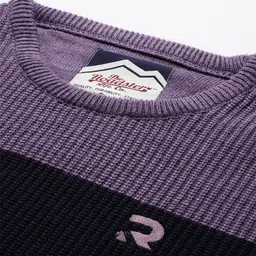 roadster Men Colorblock Round Neck Purple Sweater image 2