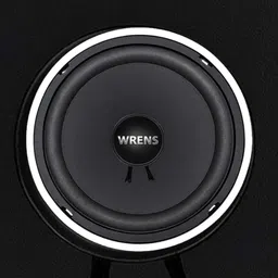 wrens 8 Inch 40W RMS Heavy Bass Subwoofer for Home & DJ Party Sound ME-061 Coaxial Car Speaker-picture-24