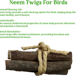 congo natural parrot treat 5 Pc. Bottlebrush Chewing Twigs for Wooden Chew Toy For Bird image 2